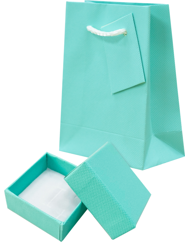 Orizzonte OR0T 5x5 orecchini